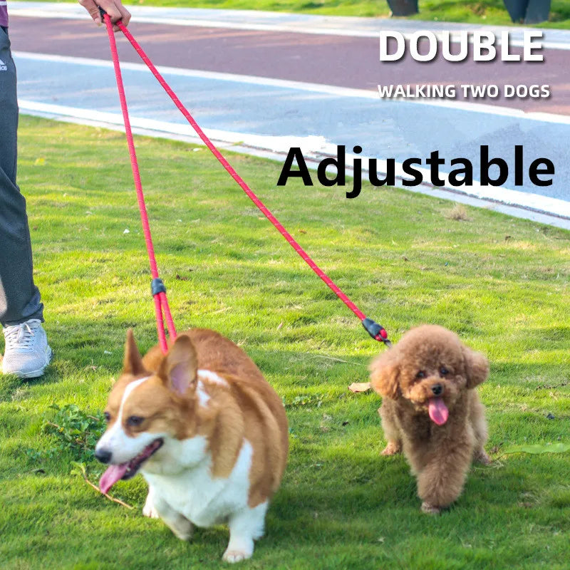 "FreedomPaws Reflective Hands-Free Dual Leash: Your Ultimate Companion for Safe and Active Dog Walks!"