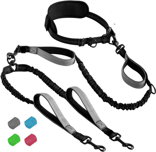 "DualPaws: Hands-Free Double Dog Leash with Padded Handles and Reflective Stitches for Medium and Large Dogs"